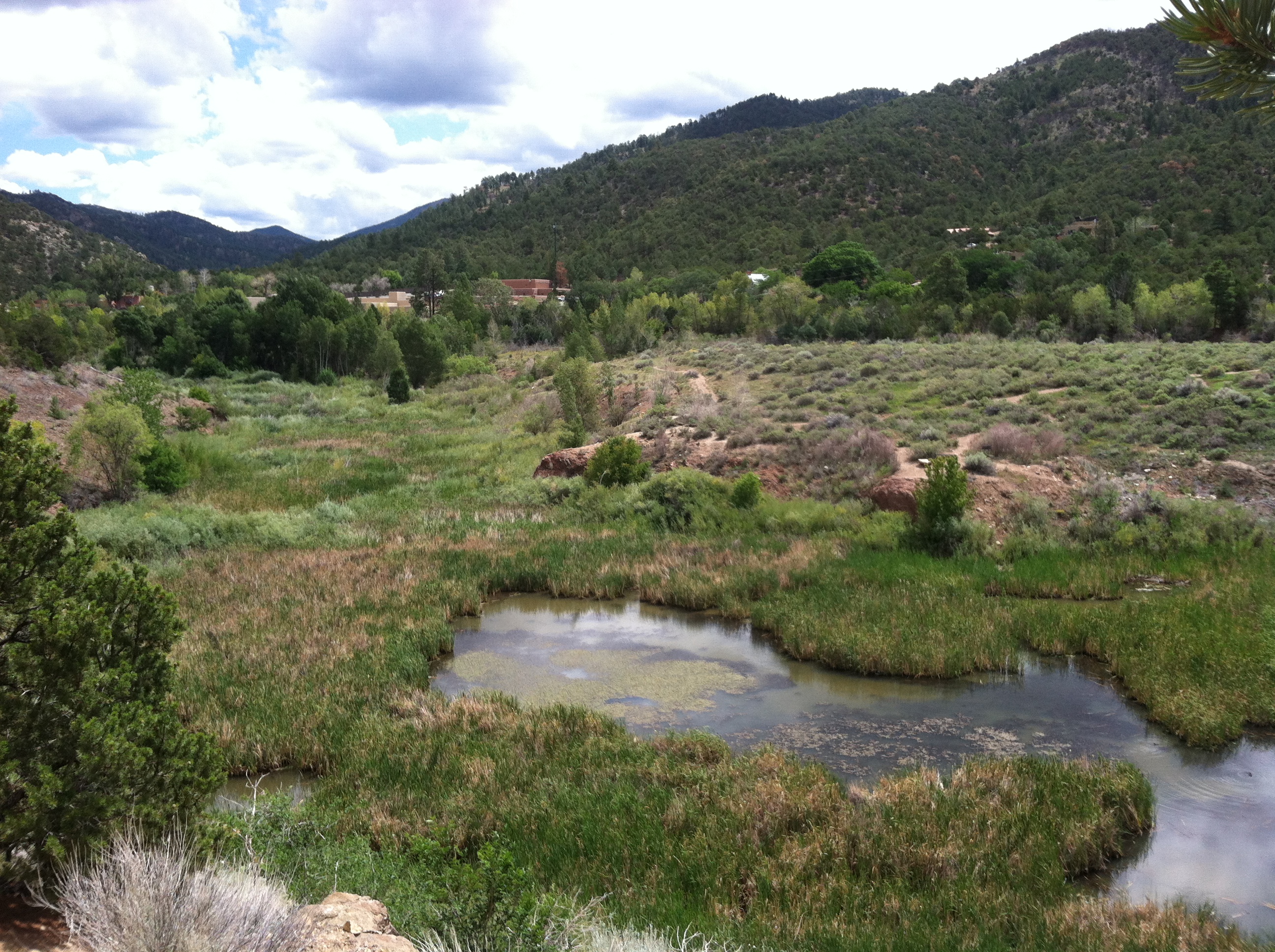 Two Mile Pond 20130825