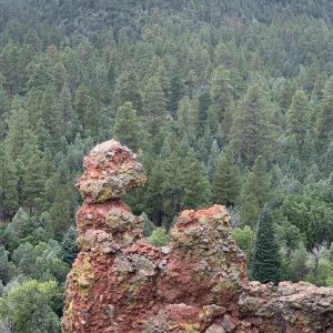 Place-based metrics guiding southwest urban forestry design